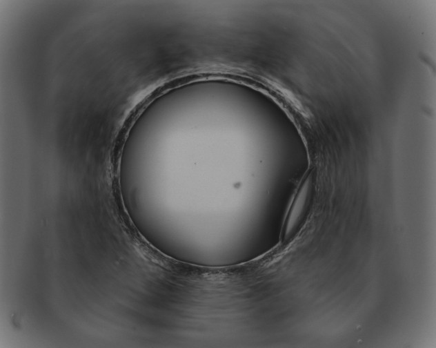 X0000091671264200709201212