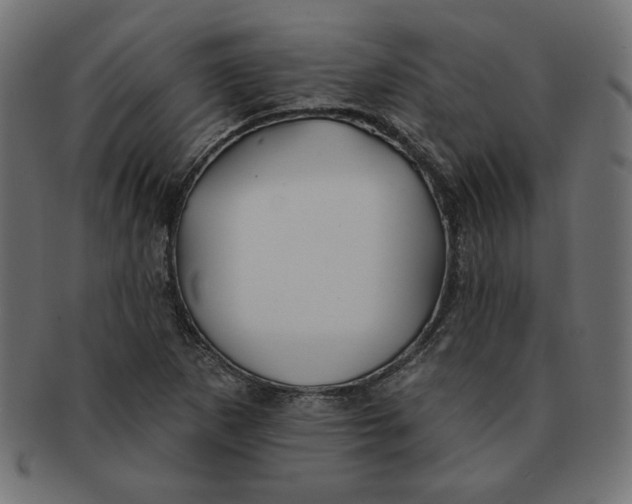 X0000091671265200709201212