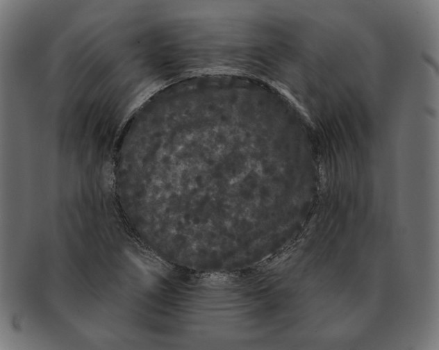 X0000091671266200709201212