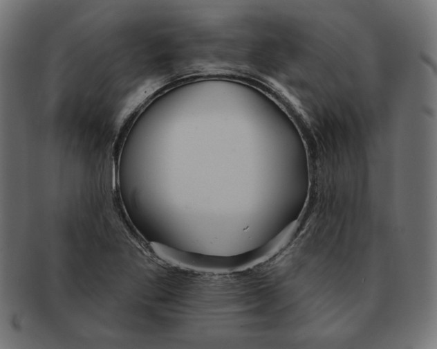 X0000091671269200709201212