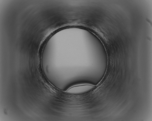 X0000091671270200709201212