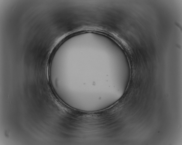 X0000091671272200709201212