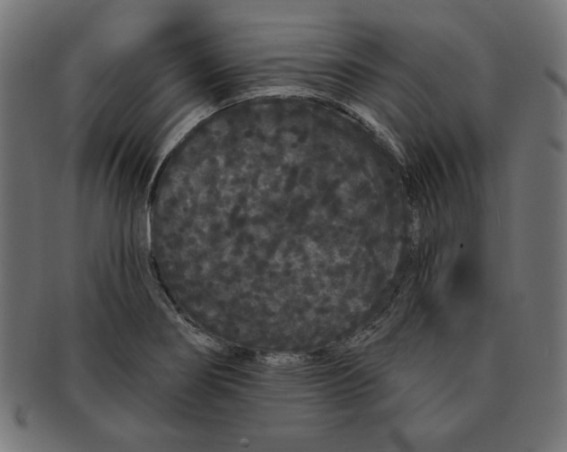 X0000091671274200709201212