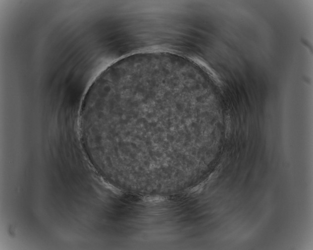 X0000091671278200709201212