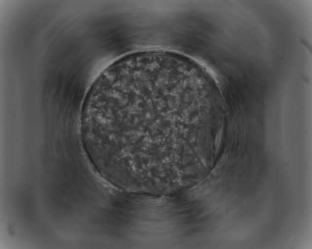 X0000091671279200709201212