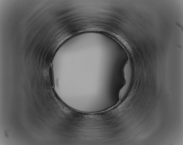 X0000091671281200709201212