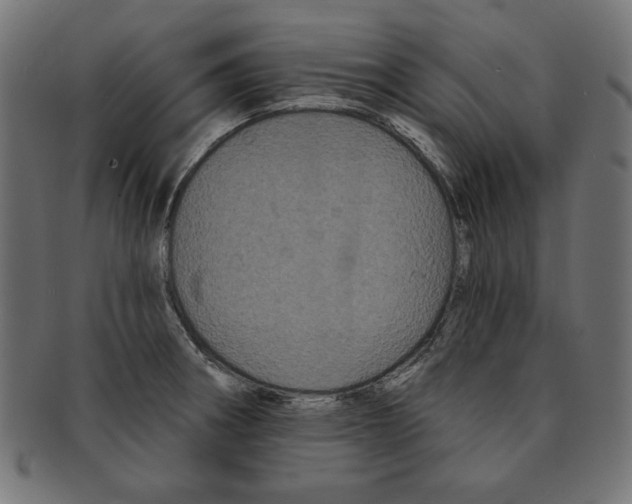 X0000091671282200709201212