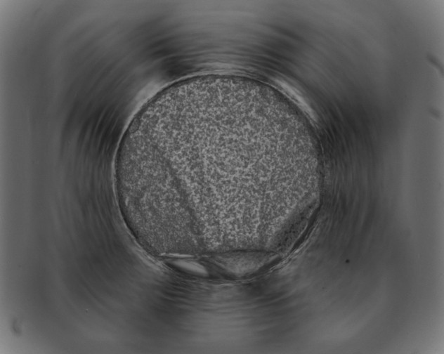 X0000091671283200709201212