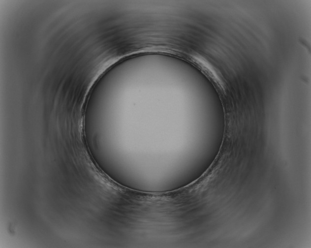 X0000091671284200709201212