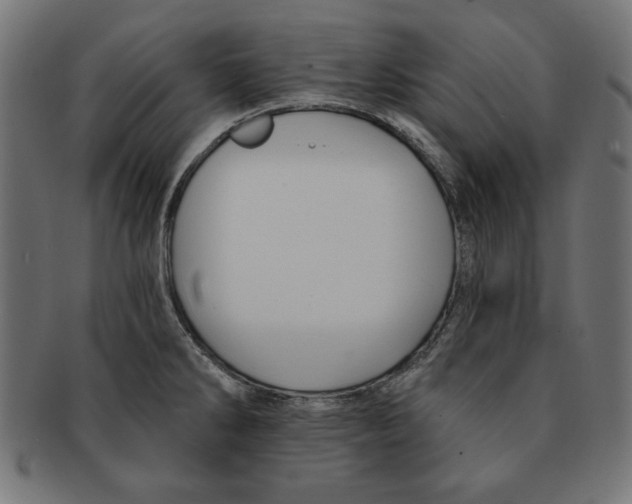 X0000091671286200709201212