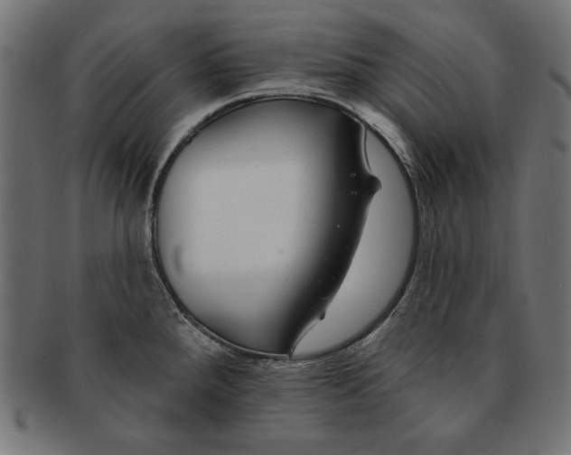 X0000091671288200709201212