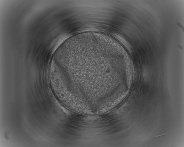 X0000091671290200709201212