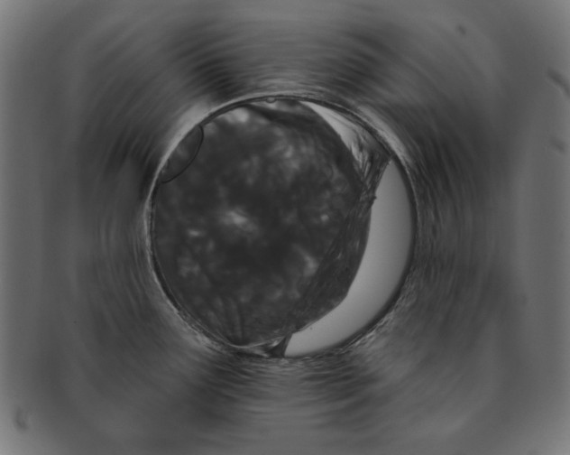 X0000091671291200709201212