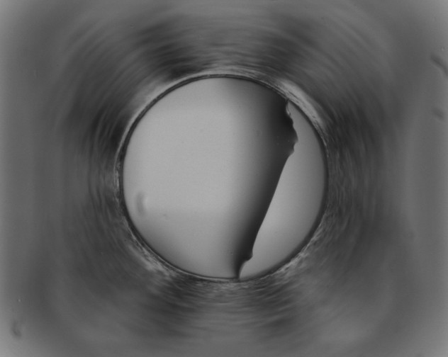 X0000091671292200709201212