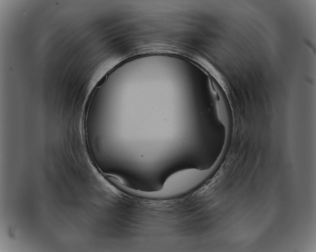 X0000091671293200709201212