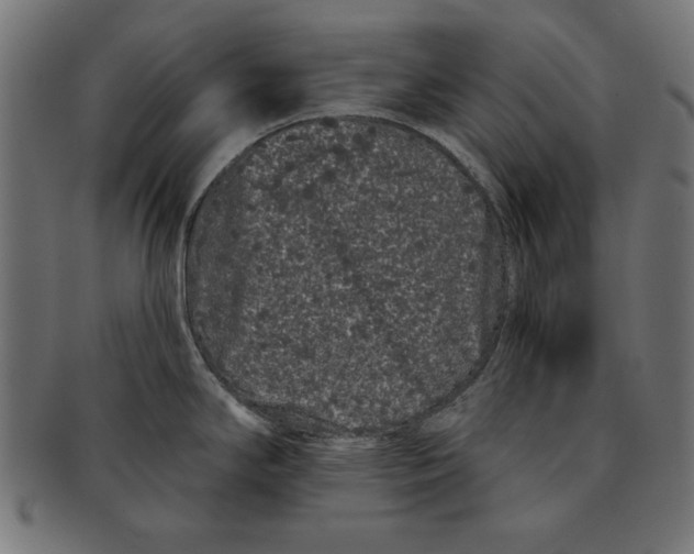 X0000091671294200709201212