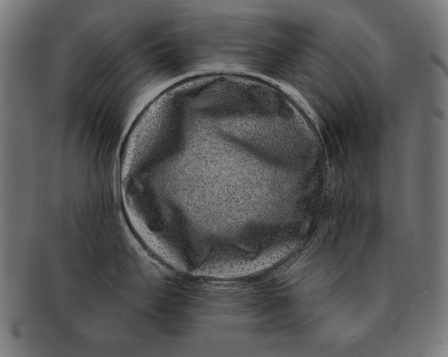 X0000091671295200709201212