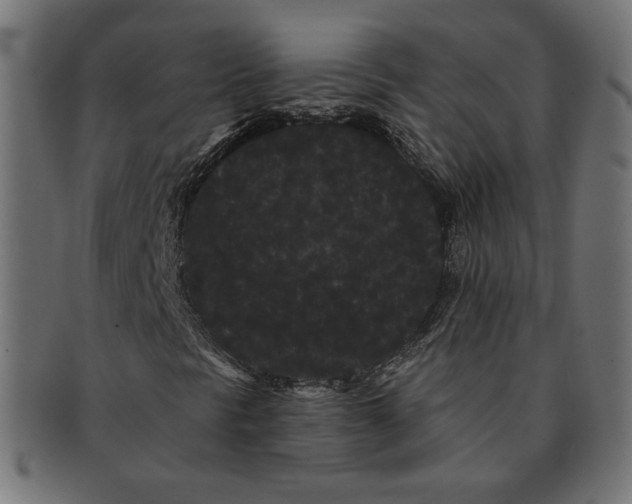 X0000091671297200709201211