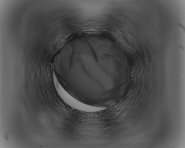 X0000091671298200709201211