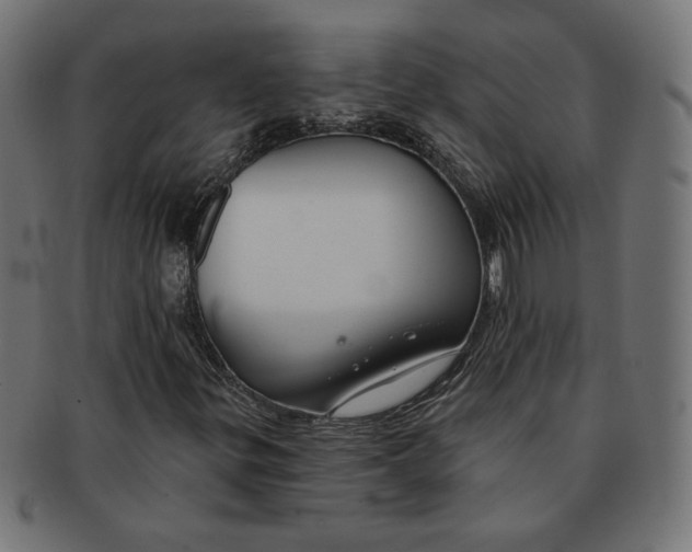 X0000091671299200709201211