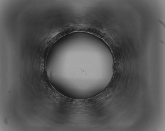 X0000091671301200709201211