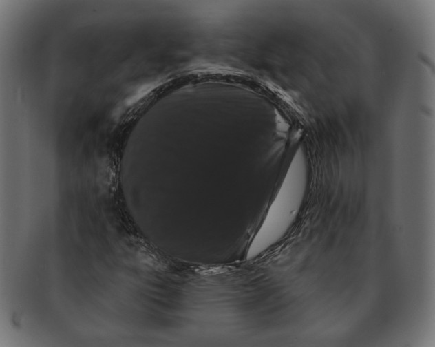 X0000091671303200709201211