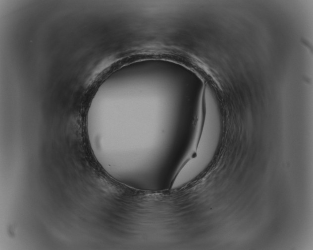 X0000091671304200709201211