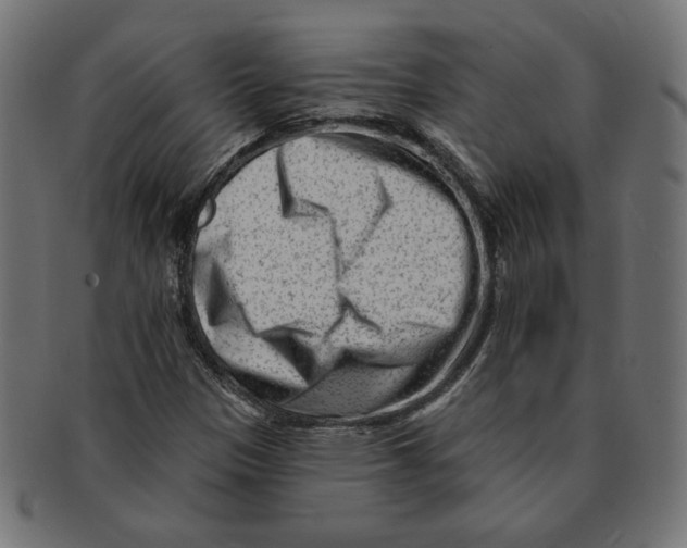 X0000091671305200709201211