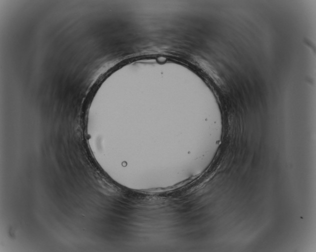 X0000091671308200709201211