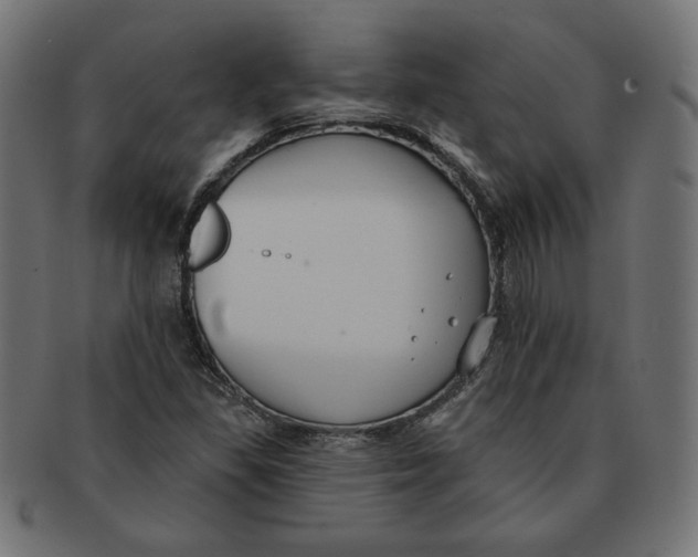 X0000091671309200709201211