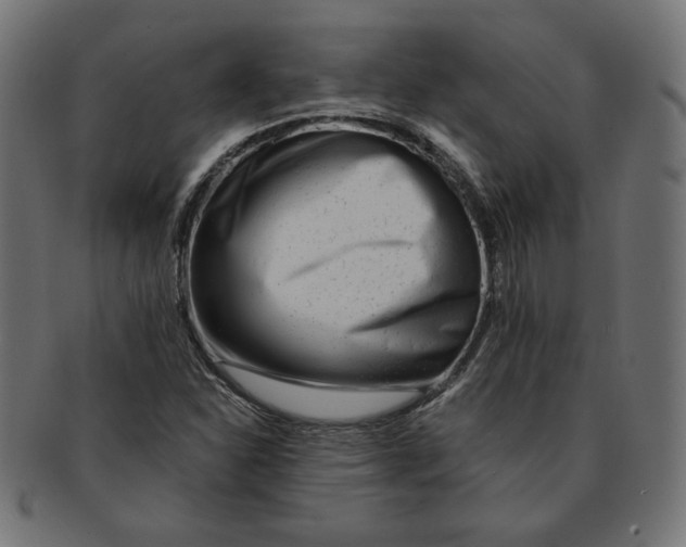 X0000091671310200709201211