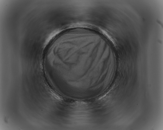 X0000091671312200709201211