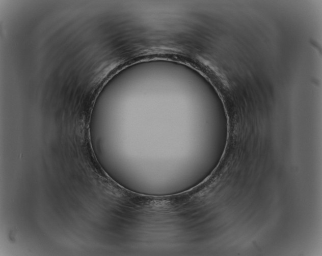 X0000091671313200709201211