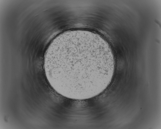 X0000091671314200709201212