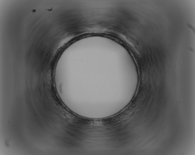 X0000091671315200709201212