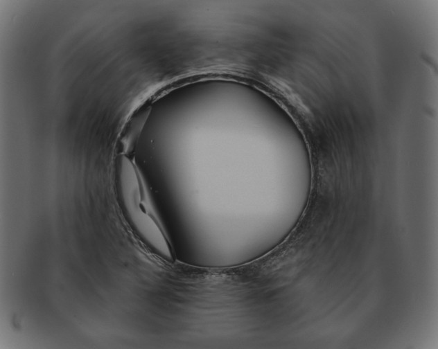 X0000091671316200709201212