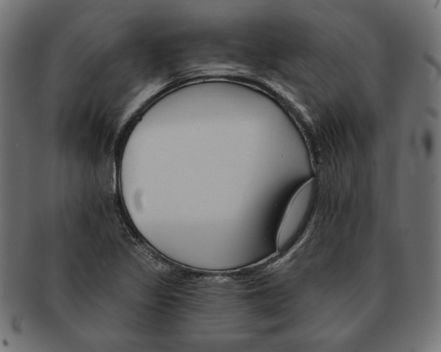 X0000091671317200709201212