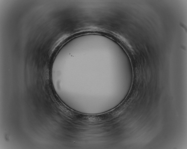 X0000091671318200709201212