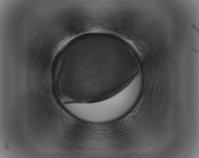 X0000091671319200709201212