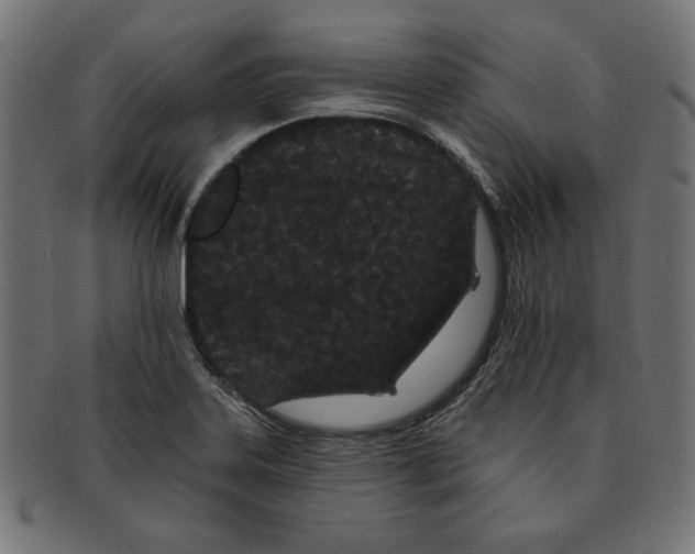 X0000091671323200709201212