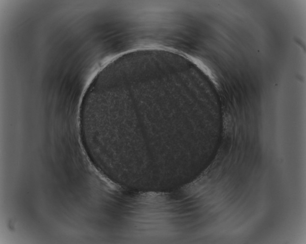 X0000091671327200709201212