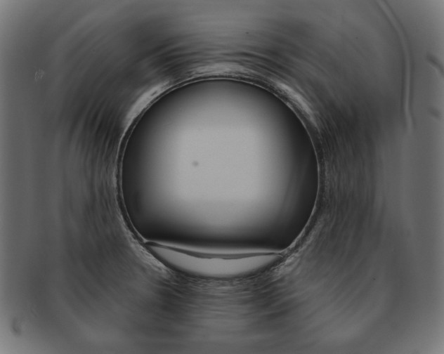 X0000091671330200709201212