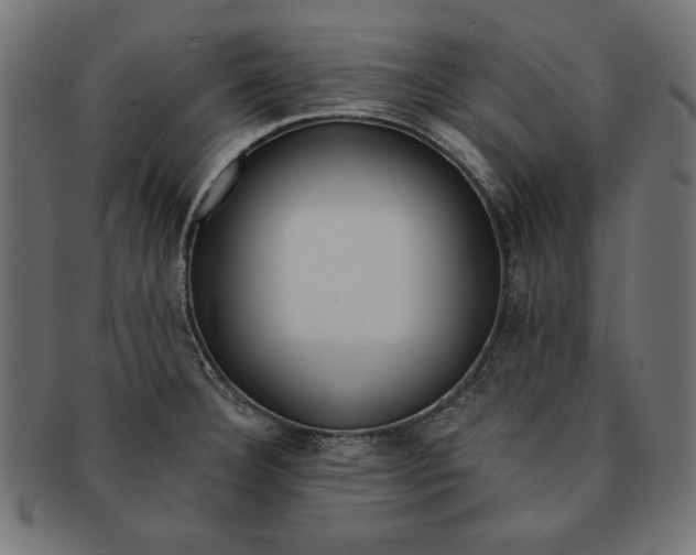 X0000091671332200709201212