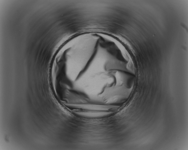 X0000091671333200709201212