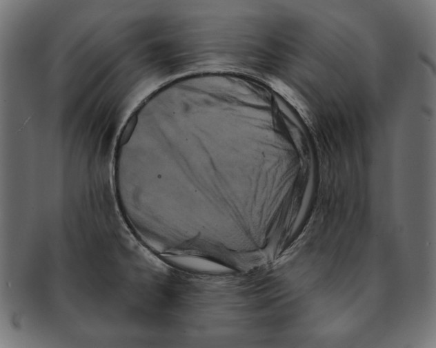 X0000091671334200709201212