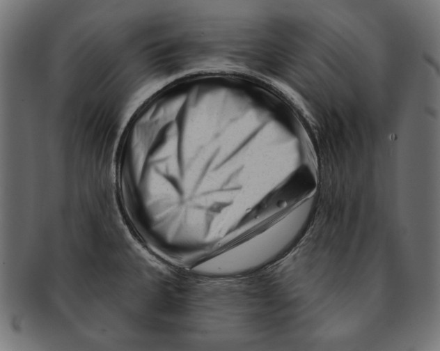 X0000091671335200709201212