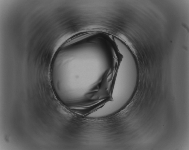 X0000091671336200709201212