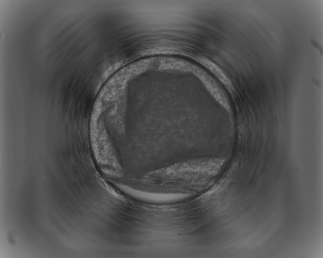 X0000091671337200709201212