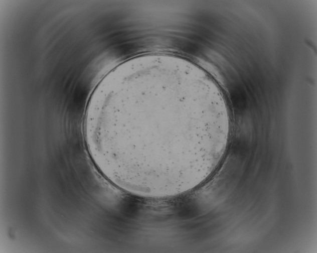 X0000091671338200709201212