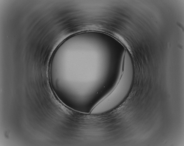 X0000091671339200709201212